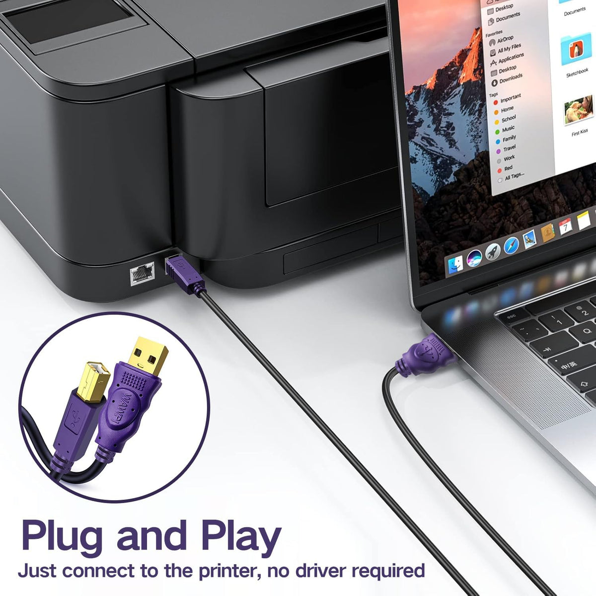 2.0 (30 Printer Cable, USB Cable A-Male to B-Male for Printer/Scanner ft)