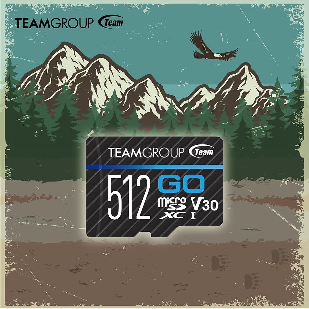 TEAMGROUP GO Card 64GB x 3 Pack Micro SDXC UHS-I U3 V30 4K for GoPro & Drone & Action Cameras High Speed Flash Memory Card for Outdoor Sports, 4K Shooting, Nintendo-Switch TGUSDX64GU365