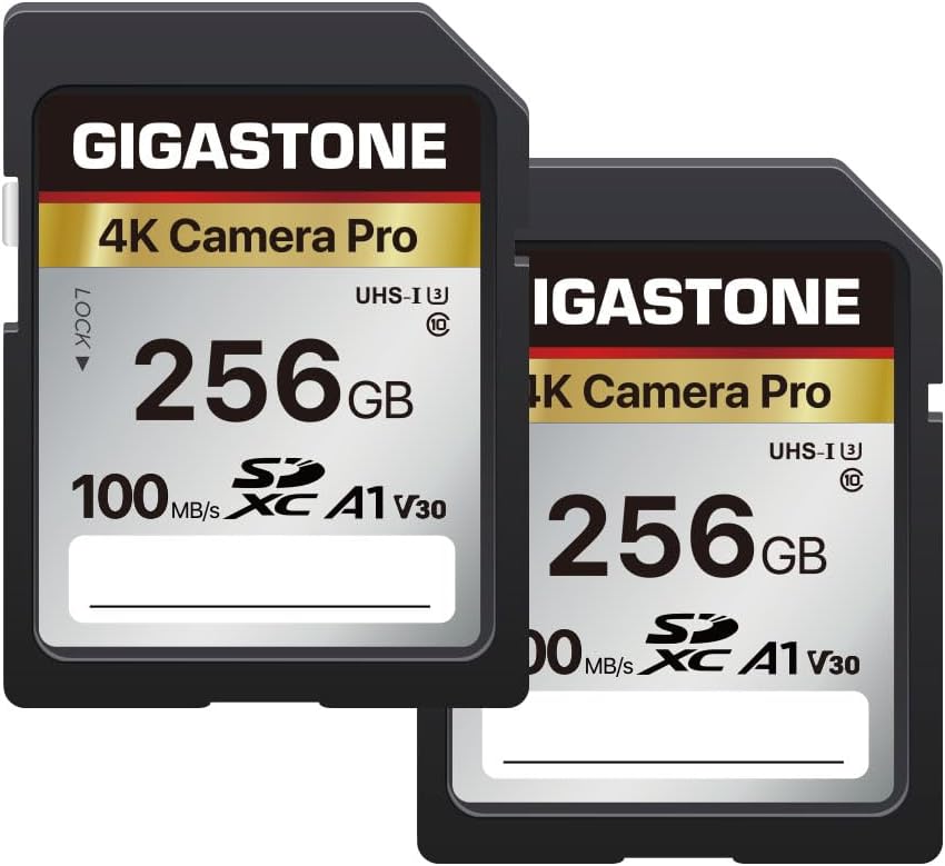 [5-Yrs Free Data Recovery] GIGASTONE 256GB 2-Pack SD Card, 4K Camera Pro, A1 V30 SDXC Memory Card 4K UHD Video Compatible with Canon Digital Camera, with 2 Mini Cases