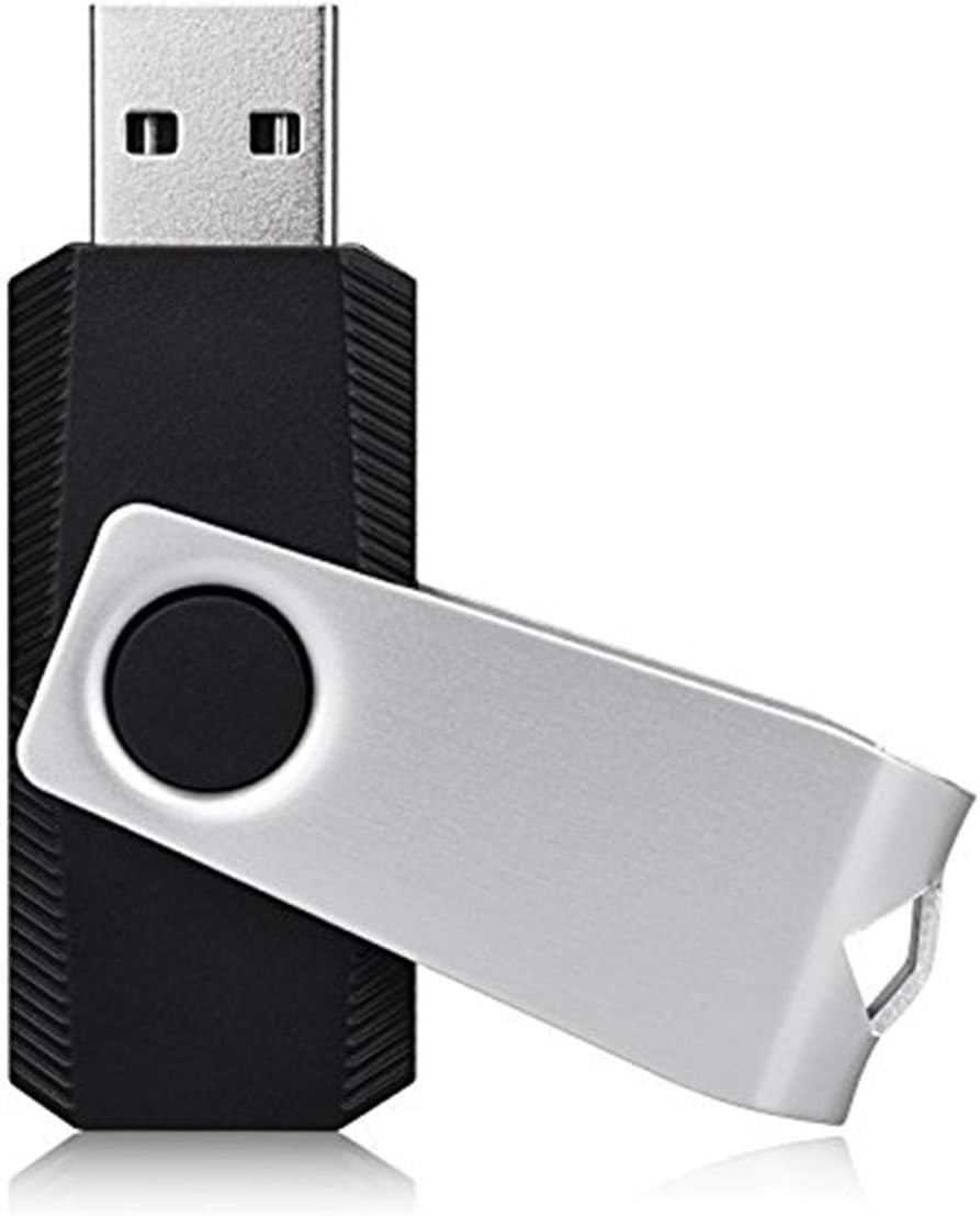 KEXIN 10 Pack 32GB USB Flash Drive Bulk Flash Drive Thumb Drive Memory Stick USB 2.0 Flash Drive Swivel Drive Black (32 GB, Black 10 Pack)