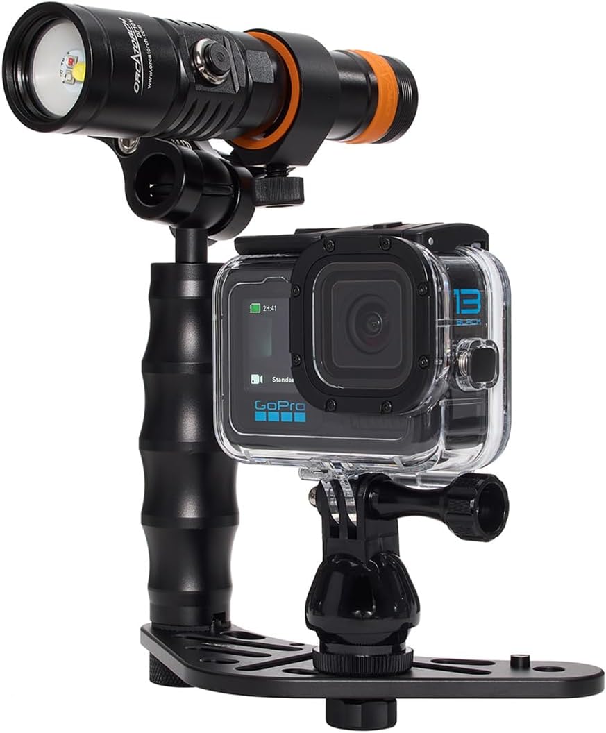 GoPro HERO13 Waterproof Action Camera Dive Kit with 5.3K60 UHD Video, 27MP HDR Photos - Bundle with Protective Housing, Video Light Pack, Camera Tray, Double Clip, 64GB microSD Card (Hero13)