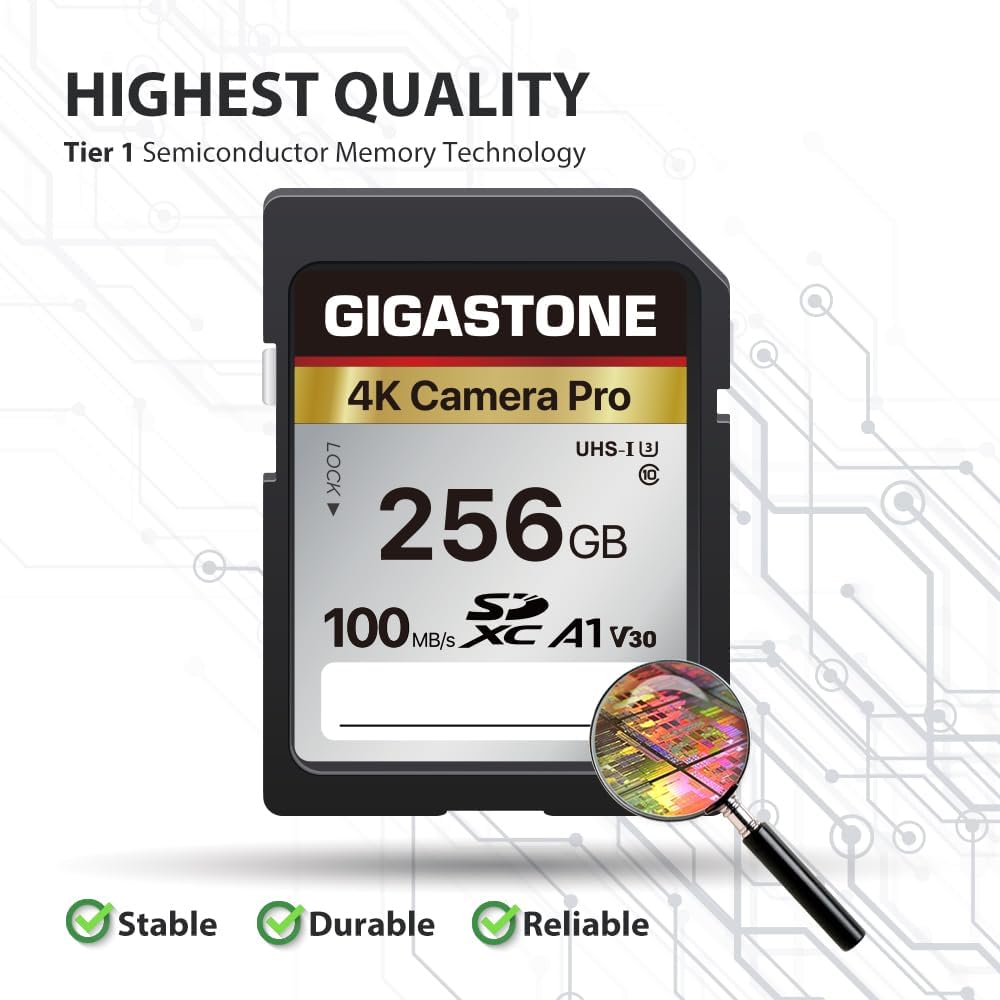 [5-Yrs Free Data Recovery] GIGASTONE 256GB SD Card, 4K Camera Pro, A1 V30 SDXC Memory Card 4K UHD Video Compatible with Canon Digital Camera, with 1 Mini Case