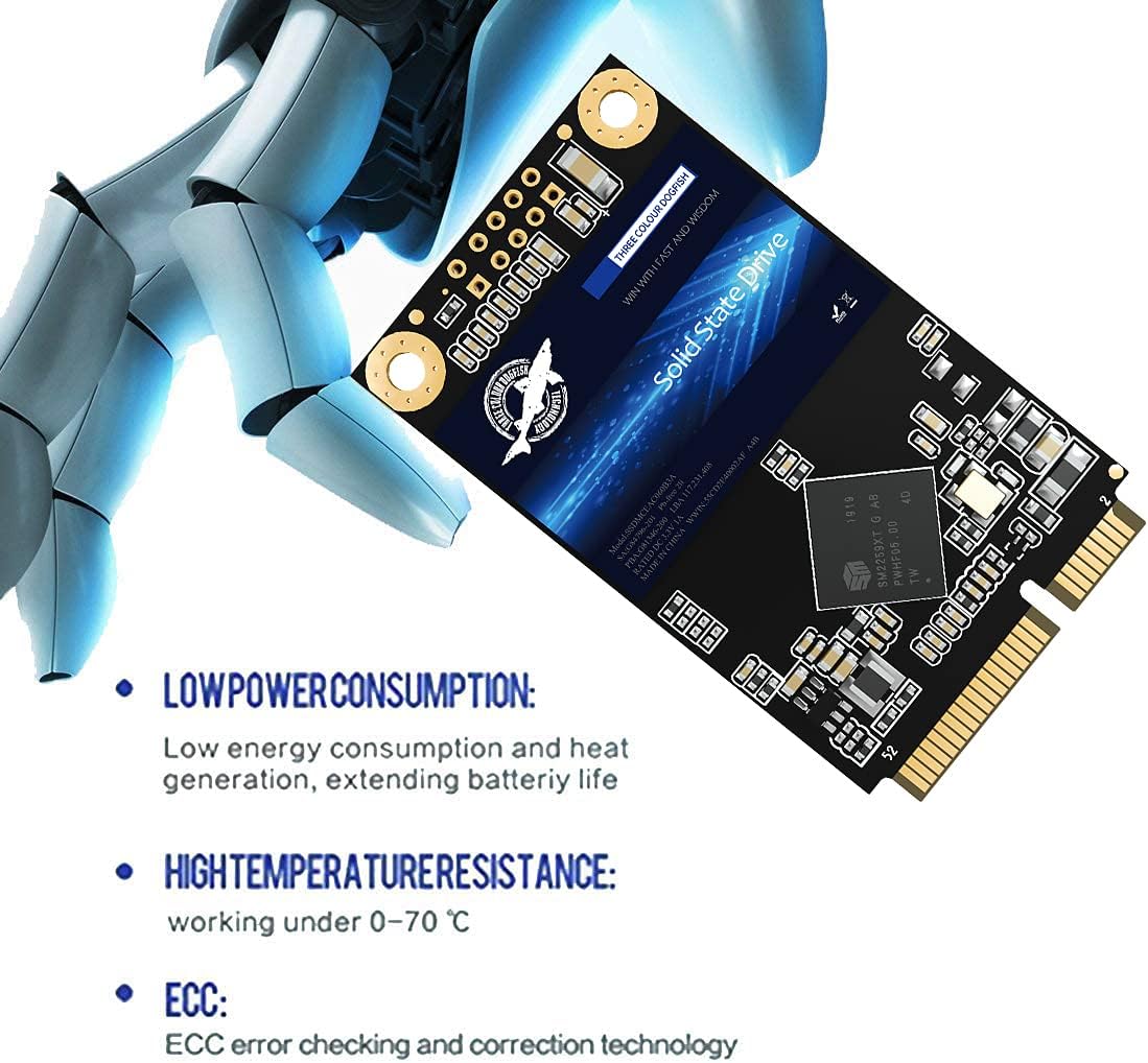 SSD mSATA 256GB Dogfish Internal Solid State Drive High Performance Hard Drive for Desktop Laptop SATA III 6Gb/s (256GB MSATA)