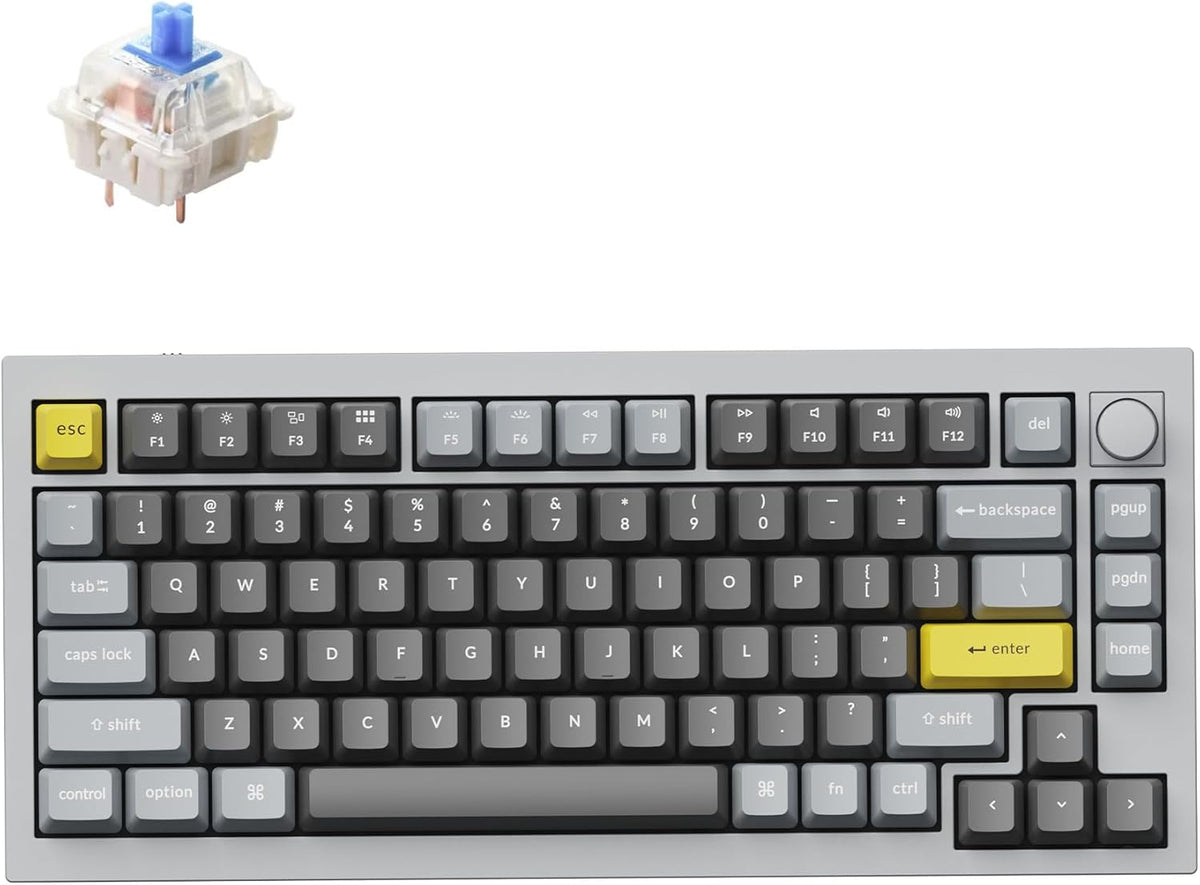 Keychron Q1 RGB Wired Custom Mechanical Keyboard Knob Version, 75% Layout QMK/VIA Programmable with Hot-swappable Gateron G Pro Blue Switch Double Gasket Compatible with Mac Windows Linux (Grey)