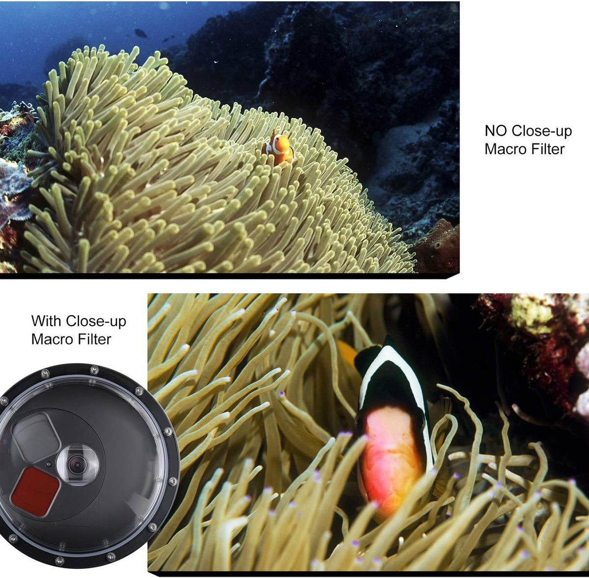 Dome Port for GoPro Hero 8 Black, Dome Port Lens with Waterproof Housing Case, Trigger, Floating Hand Grip, Built-in Switchable Red Filter and 10x Macro Filter