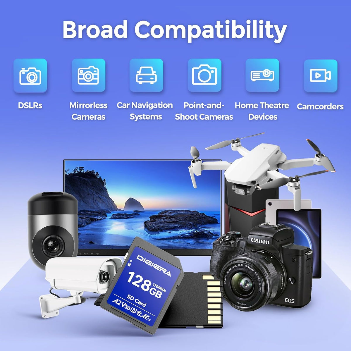 128GB LS100 SDXC UHS-I Memory Card - up to 170MB/s, C10, U3, V30, 4K UHD, SD Card for Computers, Digital Cameras, Home Theatre Devices, Car Navigation Systems (1 Pack)