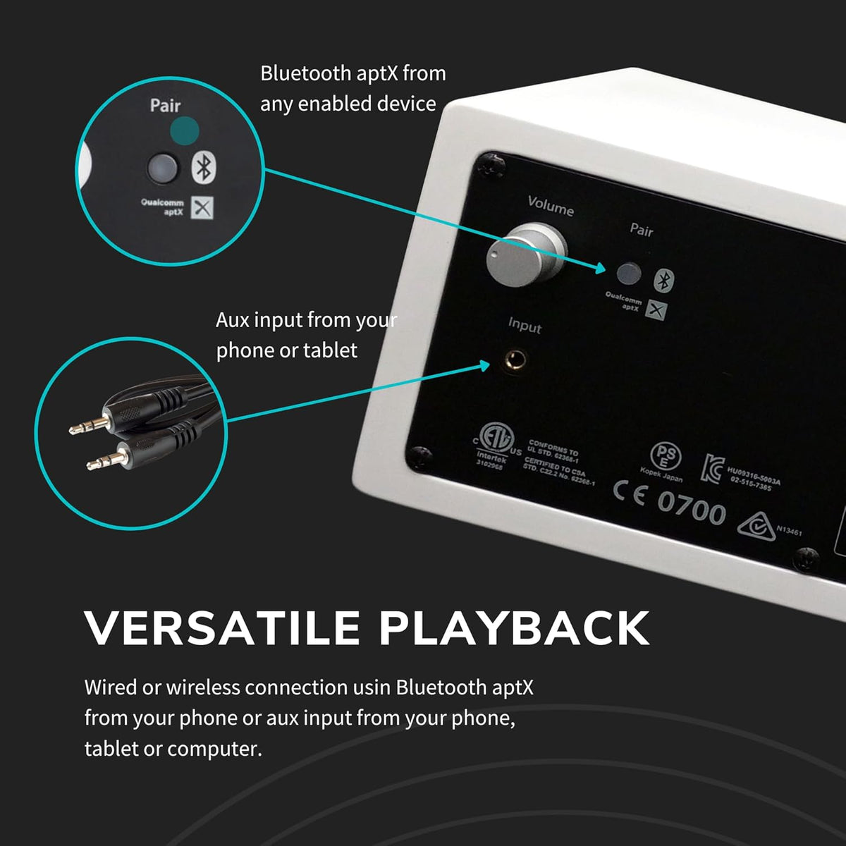 Audioengine All in One A2+ (B2) Portable Wireless Speaker - Audio with Lossless aptX Bluetooth and Analog Audio Input for Phone, Tablet, and Computers