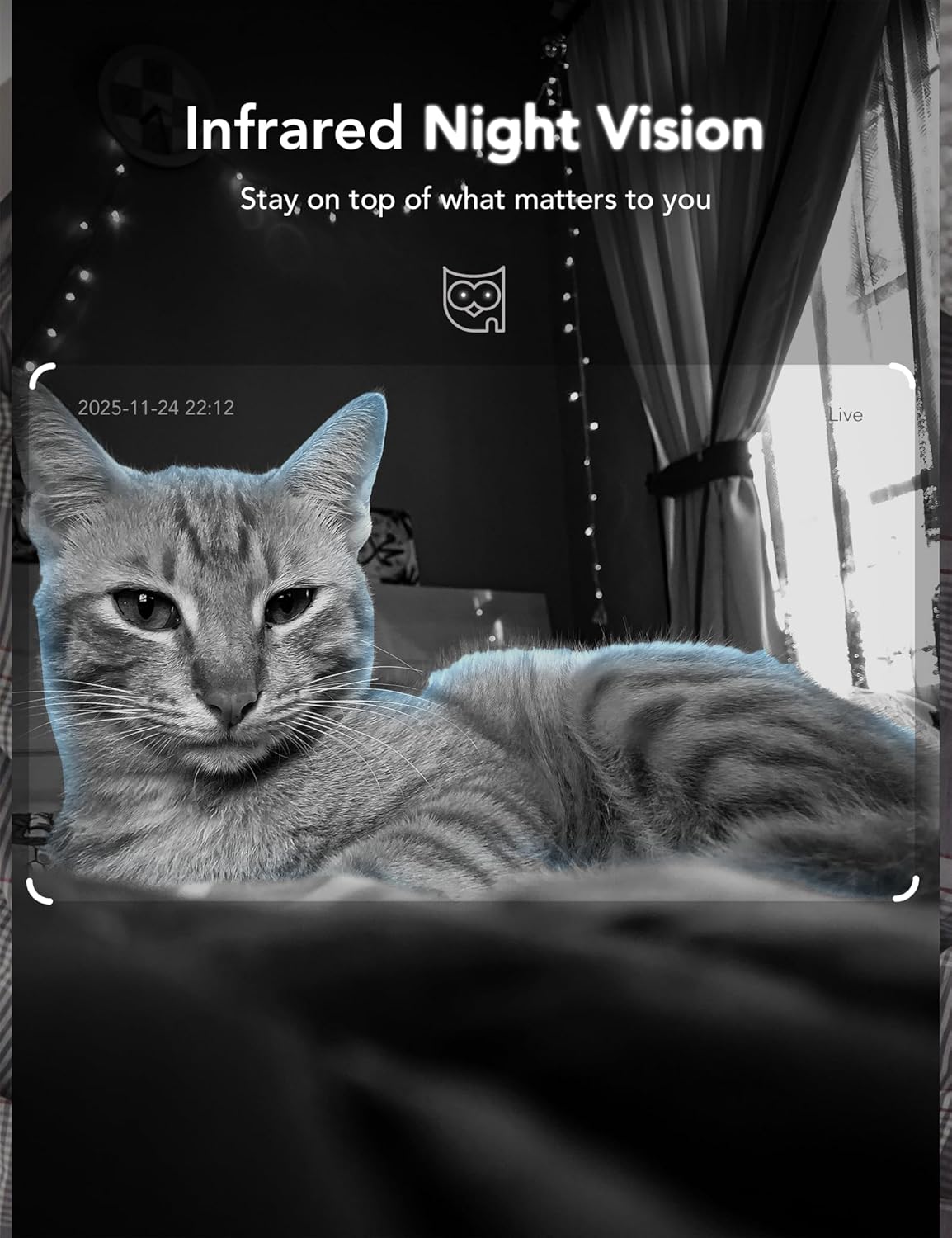 GNCC 2K 2.4G/5G 2 4Pack Cameras for Home Security Indoor, Pet Cam with Phone App, Mini Dog Camera w/Motion Detection