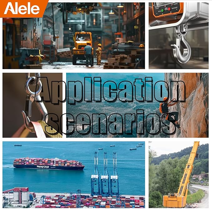 Alele Grab Hooks,1T Crane Scale,Slip Hooks,Stainless Steel Lifting Hook Rigging Accessory (Grab Hooks 1000kg)