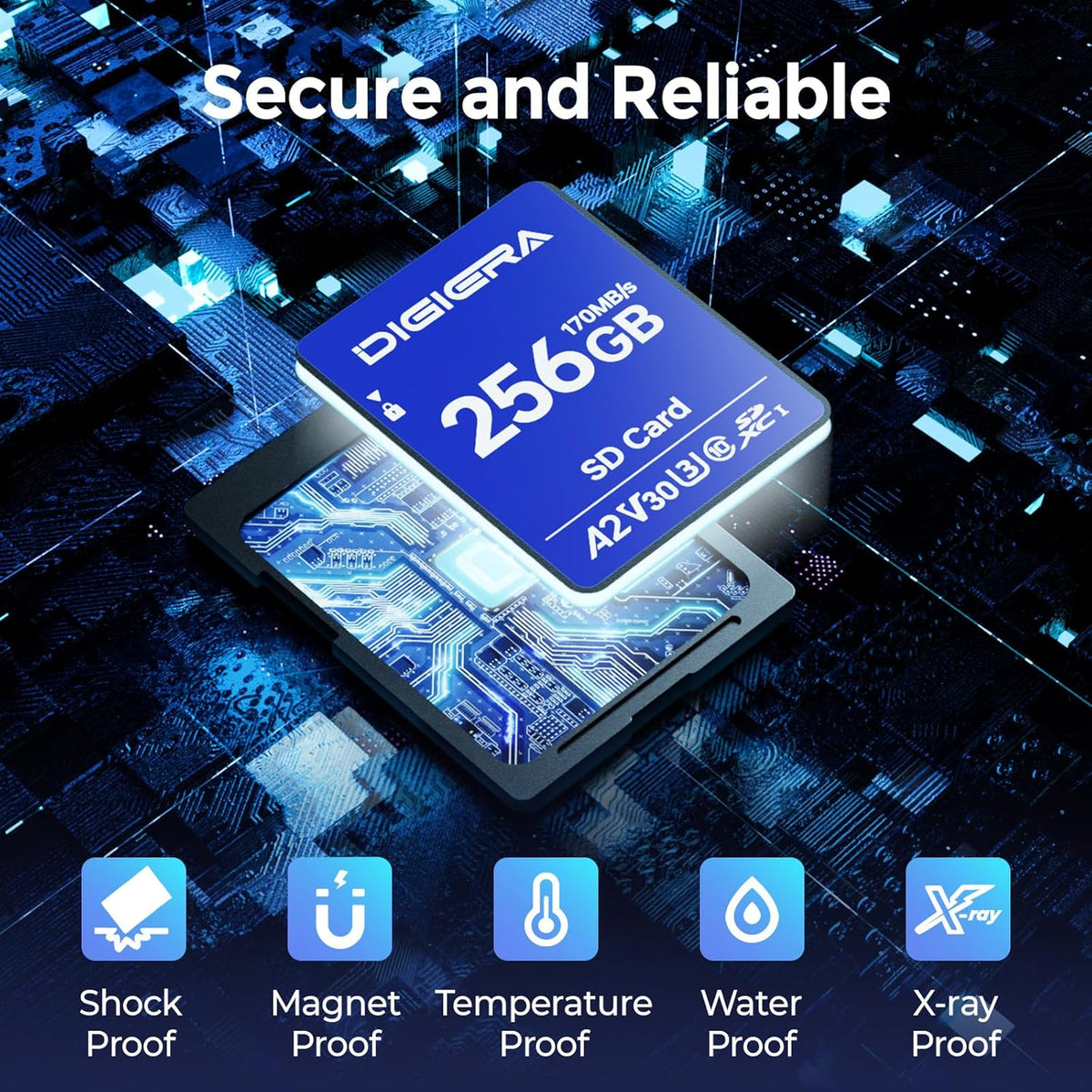 256GB LS100 SDXC UHS-I Memory Card - up to 170MB/s, C10, U3, V30, 4K UHD, SD Card for Computers, Digital Cameras, Home Theatre Devices, Car Navigation Systems (1 Pack)