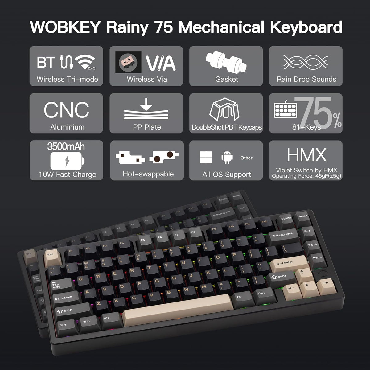 KEEBMONKEY WOBKEY Rainy 75 CNC Aluminum HMX/JWK/Cocoa Switches Triple-Mode Connectivity Mechanical Keyboard with Superior Acoustics, RGB/PP/Gradient Glass/3500mAh/Violet Switch (Standard - Black)